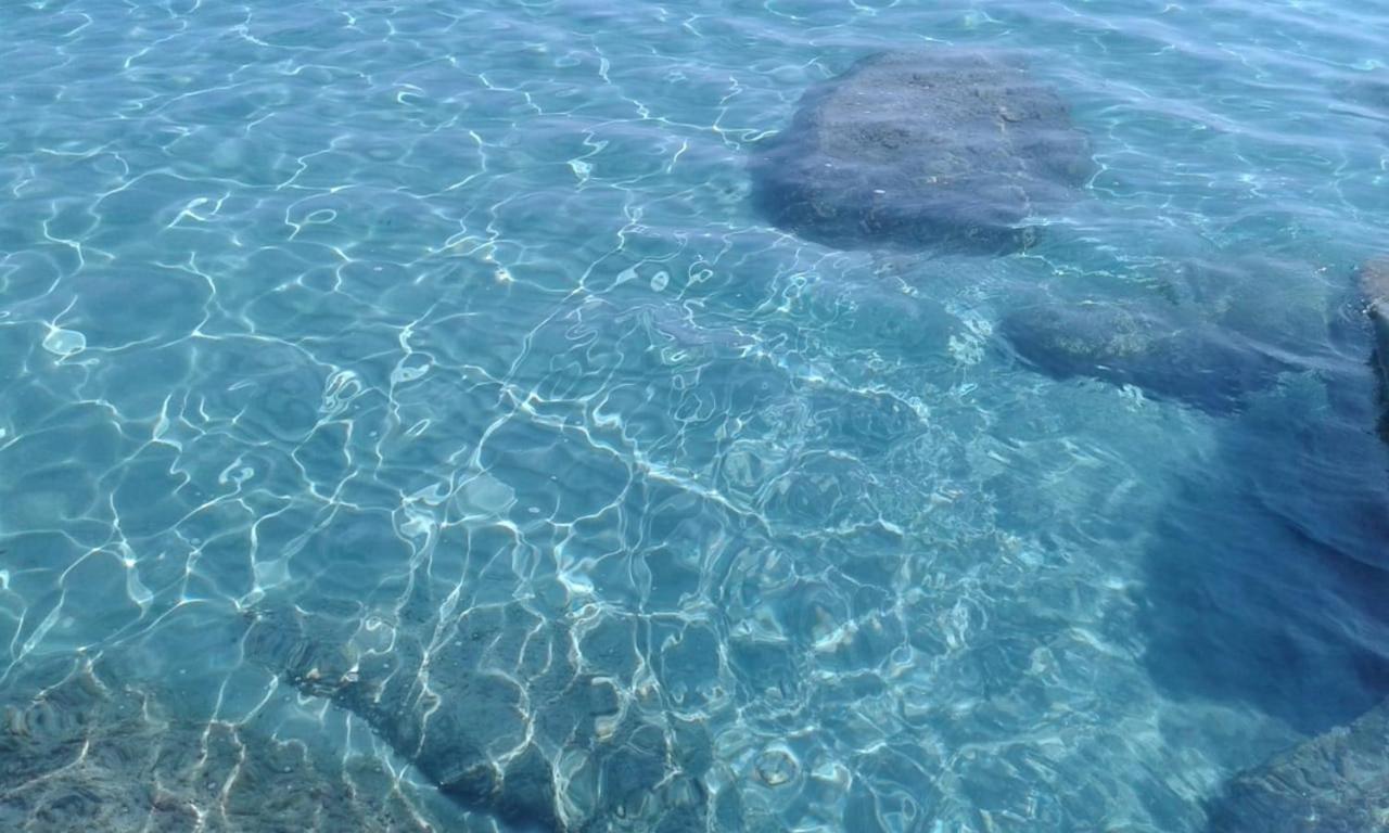 Basecamp Ogliastra - Flat Green سانتا ماريا نافاريز المظهر الخارجي الصورة