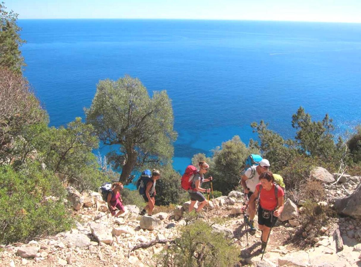 Basecamp Ogliastra - Flat Green سانتا ماريا نافاريز المظهر الخارجي الصورة