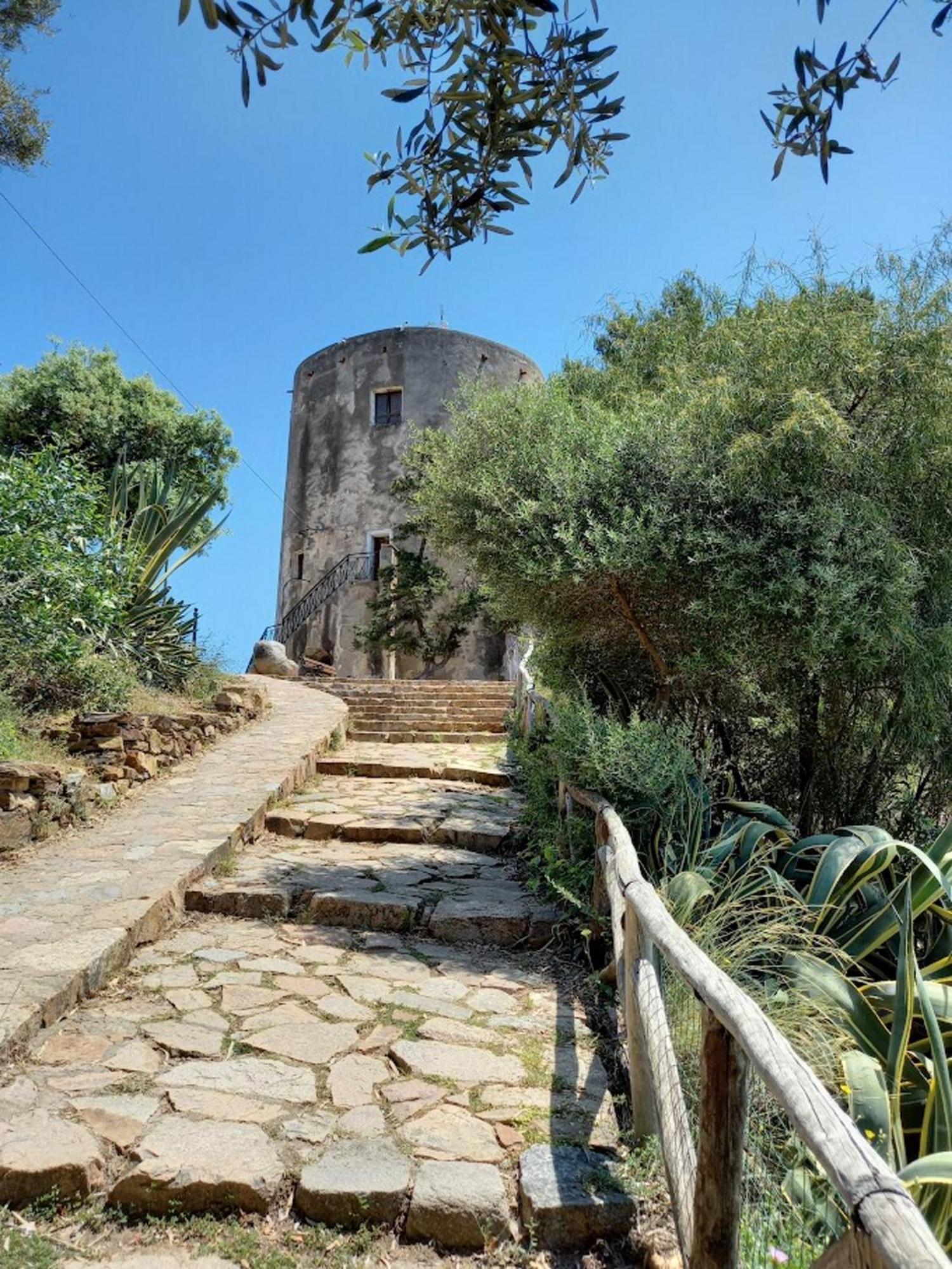 Basecamp Ogliastra - Flat Green سانتا ماريا نافاريز المظهر الخارجي الصورة