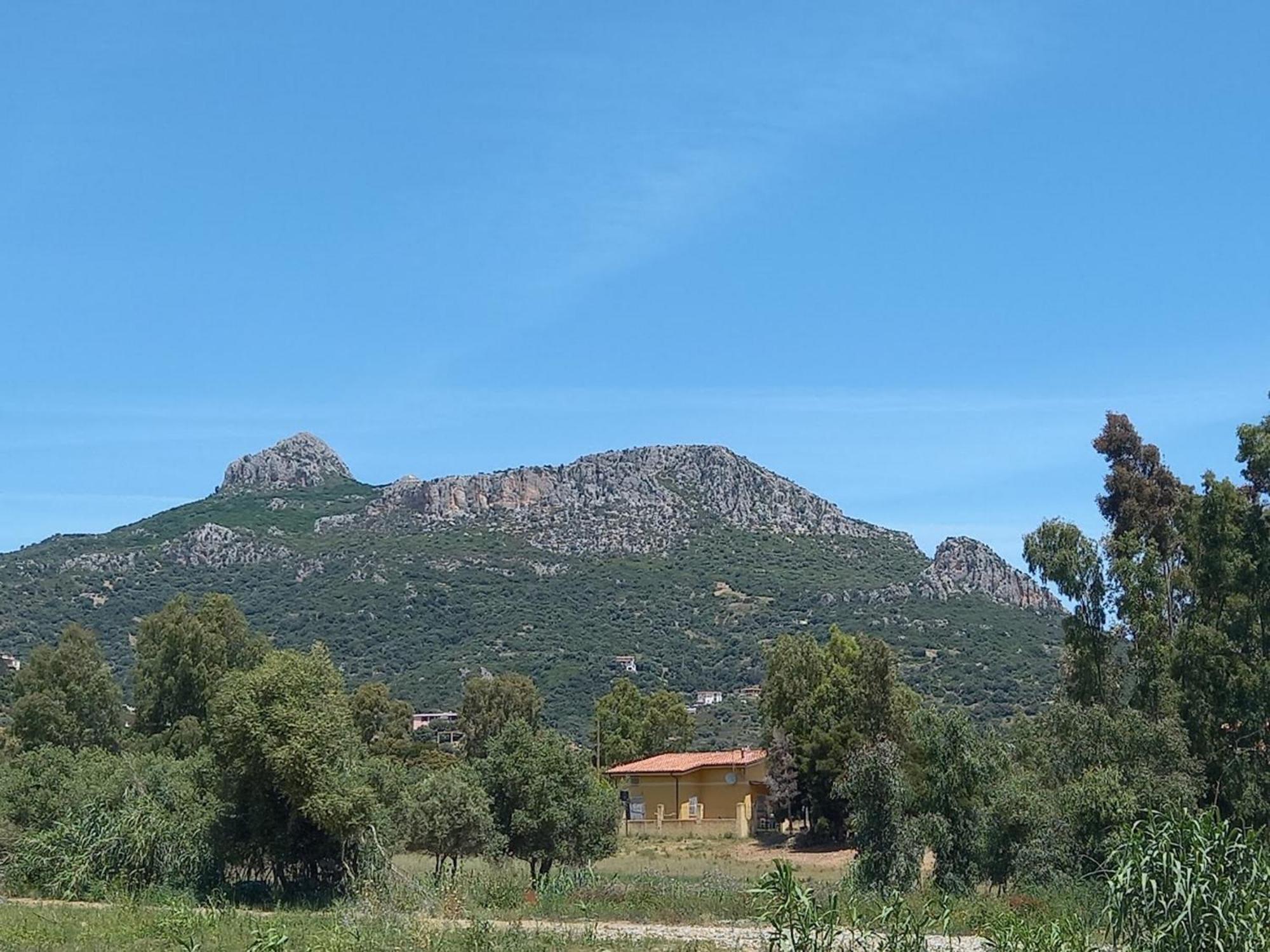 Basecamp Ogliastra - Flat Green سانتا ماريا نافاريز المظهر الخارجي الصورة